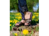 Шльопанці жіночі GIPANIS-842-Лабірінт/шоколадні. Ростовка 6 пар.Розміри з 37 по 41+39